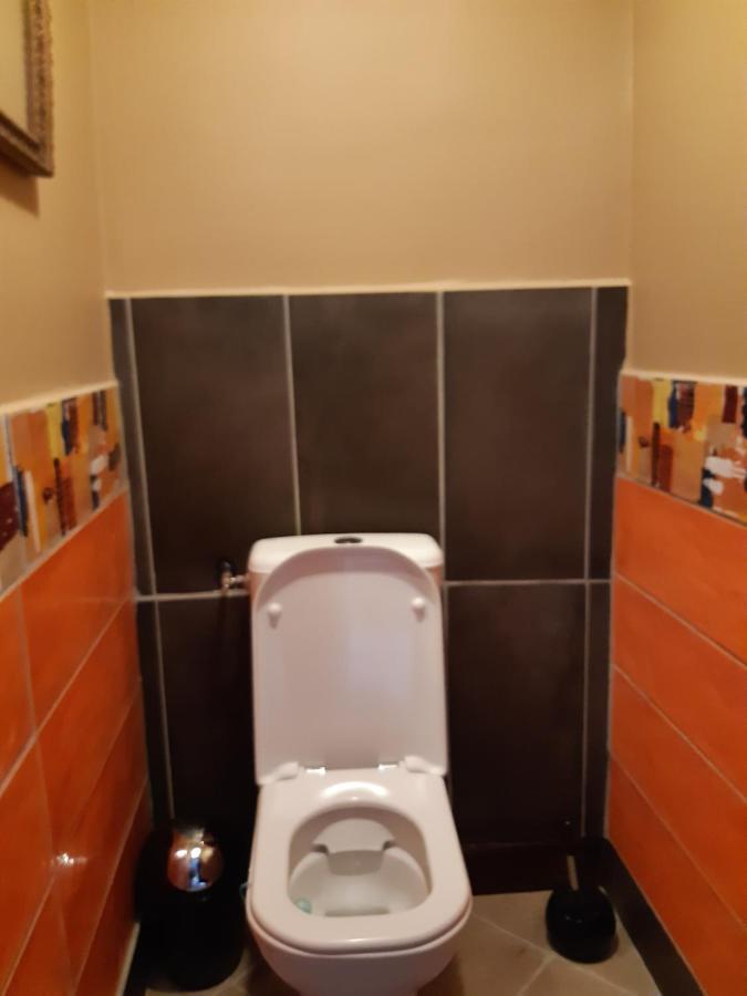 Chambre Familiale Avec Piscine Chauffee Et Jacuzzi Bernadets-Debat Zewnętrze zdjęcie